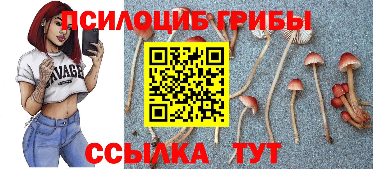 Малгобек  Псилоцибиновые грибы ЛСД  Псилоцибиновые грибы Psilocybe  Вход с VPN 