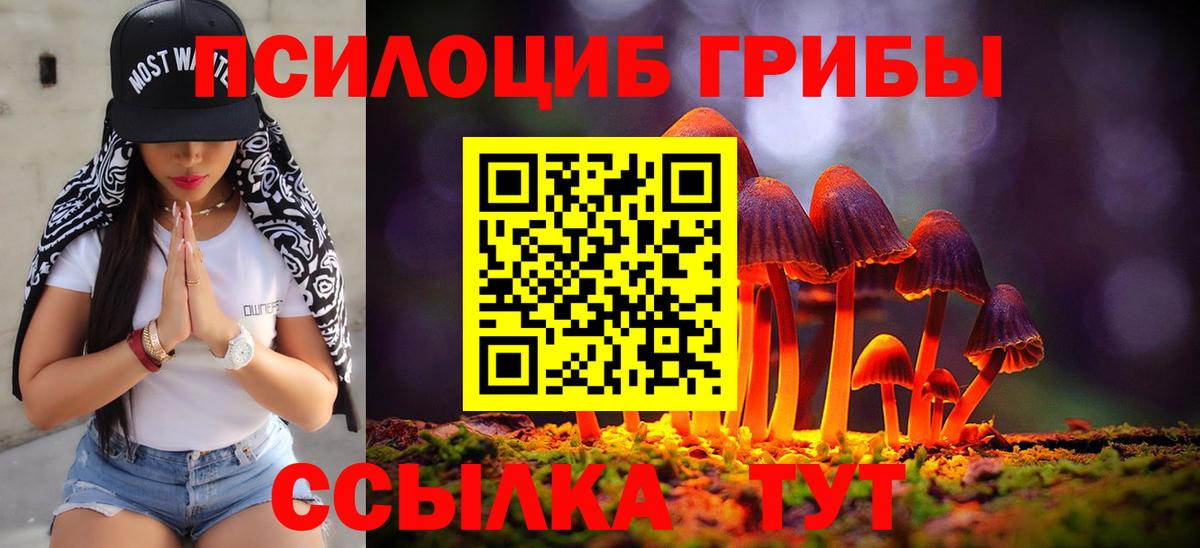 Галлюциногенные грибы Cubensis Малгобек